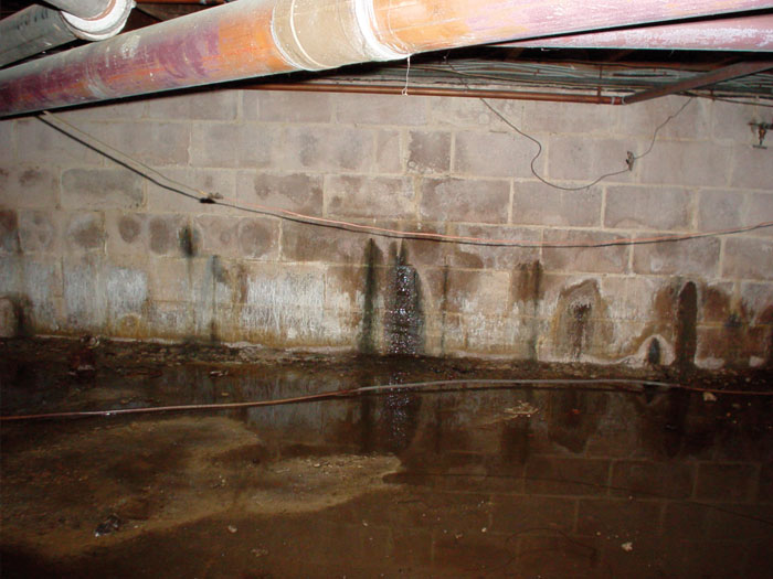 leaking basement wall problem lg