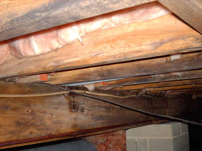 What Type Of Damage Does My Wood Have?